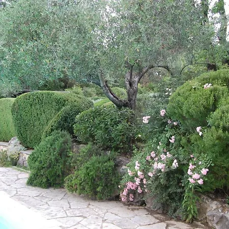 Beyond The Garden