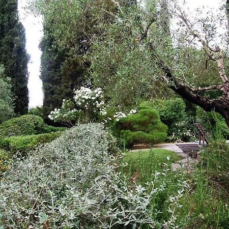 Beyond The Garden Bed & Breakfast Fiano Romano