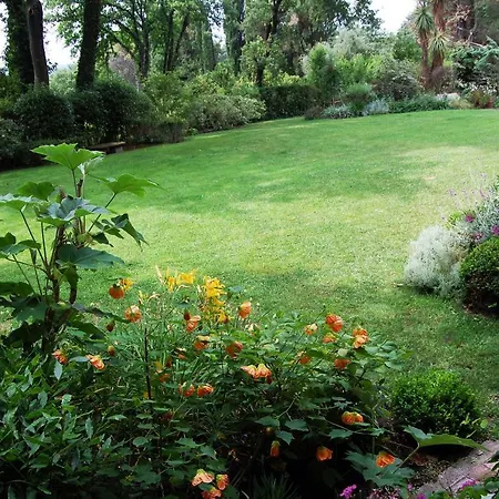 Bed & Breakfast Beyond The Garden *