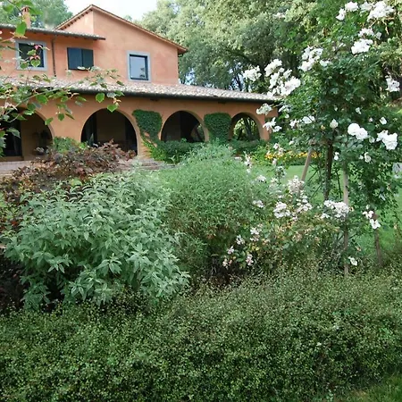 Beyond The Garden