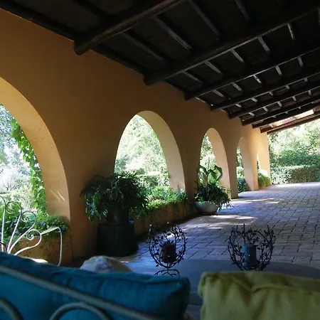 Beyond The Garden Bed & Breakfast